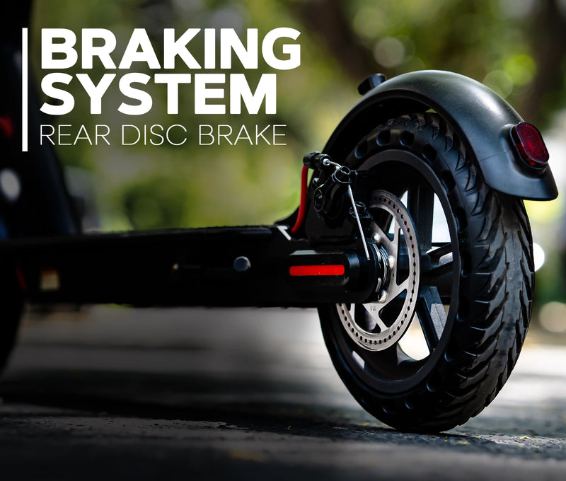 Rear Disc Brake