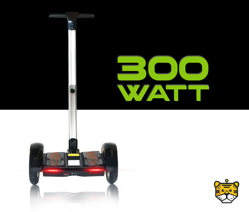 Charge Ahead with 300 Watt battery