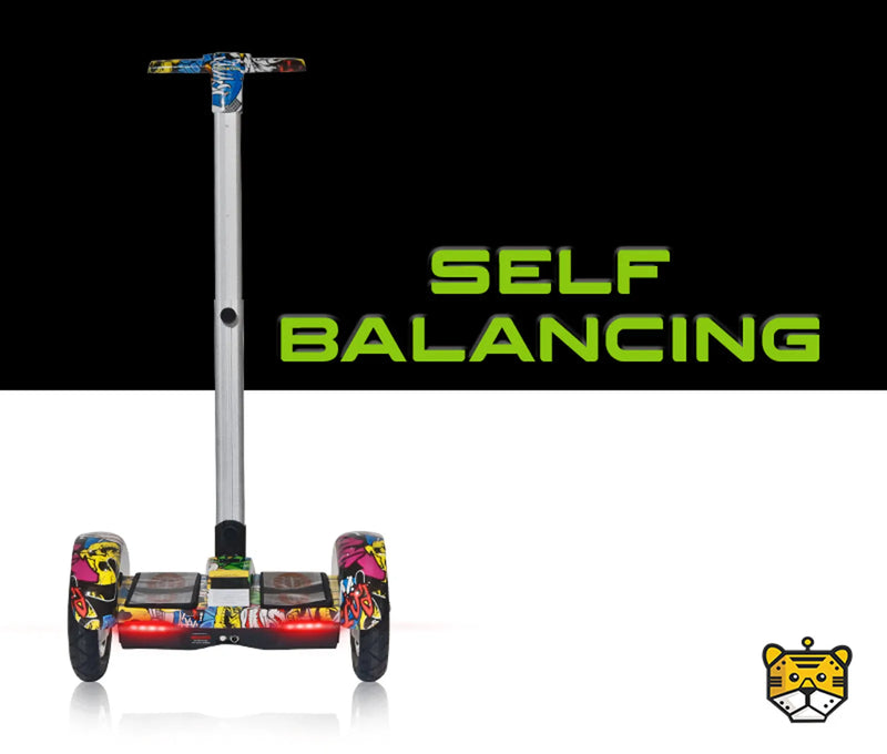 Effortless Self-Balancing Assistance